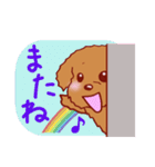 メッセージわんこ 犬スタンプ（個別スタンプ：39）