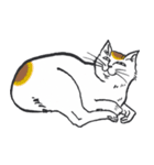 浮世絵風（？）ねこ（個別スタンプ：3）