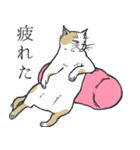 浮世絵風（？）ねこ（個別スタンプ：18）