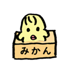 ひよこLIFE（個別スタンプ：22）