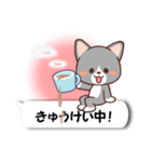 ふきだしねここ（個別スタンプ：17）