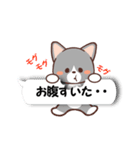 ふきだしねここ（個別スタンプ：19）