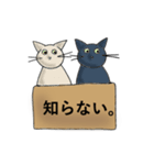 箱ねご（個別スタンプ：38）