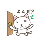 白猫マタタビくん（個別スタンプ：10）