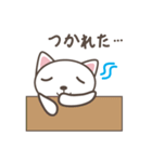 白猫マタタビくん（個別スタンプ：22）