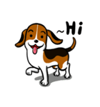 I-TIM: The Beagle（個別スタンプ：1）