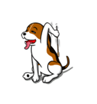 I-TIM: The Beagle（個別スタンプ：11）