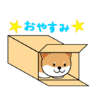 箱入りしばちゃん（個別スタンプ：6）