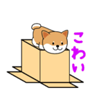 箱入りしばちゃん（個別スタンプ：16）