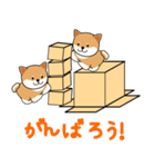 箱入りしばちゃん（個別スタンプ：21）