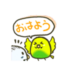 まったりいんこ（個別スタンプ：1）