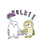 フクロウのしろちゃん＆めんちゃん（個別スタンプ：16）