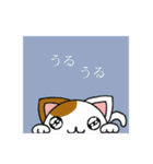 端っこから猫（個別スタンプ：27）