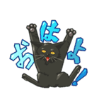 黒猫のあかり（個別スタンプ：1）