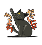 黒猫のあかり（個別スタンプ：26）