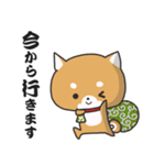 柴犬の和風すたんぷ（個別スタンプ：8）