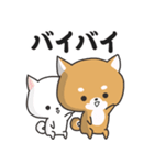 柴犬の和風すたんぷ（個別スタンプ：40）