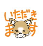 チワワ 犬スタンプ（個別スタンプ：9）