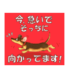 歴代人気犬種（個別スタンプ：2）