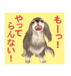 歴代人気犬種（個別スタンプ：7）