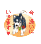 歴代人気犬種（個別スタンプ：16）