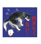 歴代人気犬種（個別スタンプ：18）