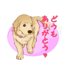 歴代人気犬種（個別スタンプ：21）