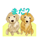 歴代人気犬種（個別スタンプ：22）