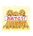 歴代人気犬種（個別スタンプ：25）