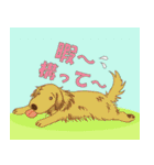 歴代人気犬種（個別スタンプ：29）