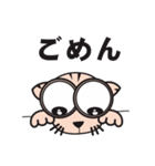 Eye cat（個別スタンプ：6）