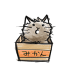 たわむれ猫（個別スタンプ：1）