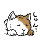 たわむれ猫（個別スタンプ：14）