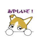 BOWWOW CORGIS！（個別スタンプ：3）