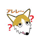 BOWWOW CORGIS！（個別スタンプ：4）