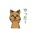 犬三匹（個別スタンプ：13）