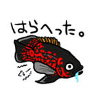 熱帯魚のスタンプ（個別スタンプ：23）