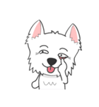 West Highland White Terrier.part 2（個別スタンプ：6）