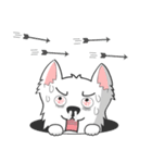 West Highland White Terrier.part 2（個別スタンプ：33）