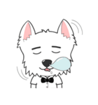 West Highland White Terrier.part 2（個別スタンプ：36）