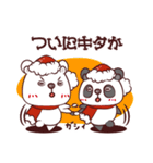 クマくまパンダ（個別スタンプ：13）