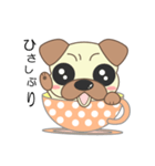 pug cup（個別スタンプ：6）