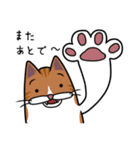 ねこニャス！（個別スタンプ：19）