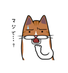 ねこニャス！（個別スタンプ：37）