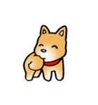 柴犬のしっぽ（個別スタンプ：20）