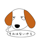 関西犬（個別スタンプ：1）