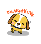 犬のシュールくん（個別スタンプ：6）