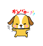 犬のシュールくん（個別スタンプ：16）