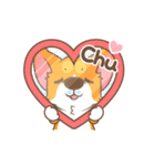 Corgi Pon Pon（個別スタンプ：7）