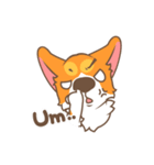 Corgi Pon Pon（個別スタンプ：10）